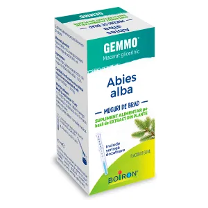 Abies