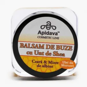 Apidava