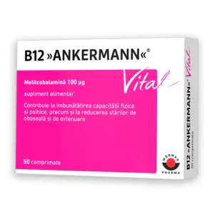 B12