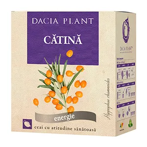 Catina