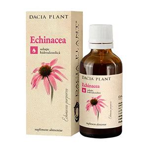 Echinacea