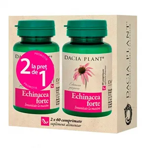 Echinacea
