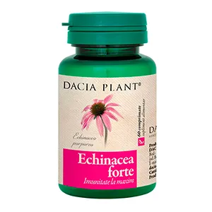 Echinacea