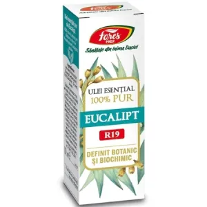Eucalipt,