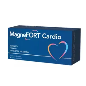MagneFort