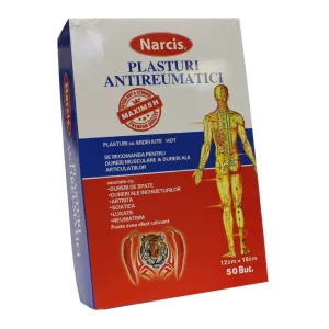 Plasture