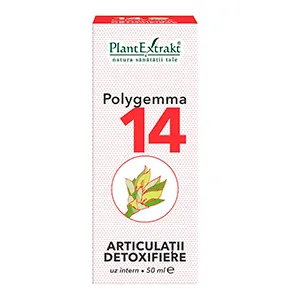 Polygemma
