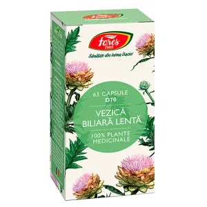 Vezica